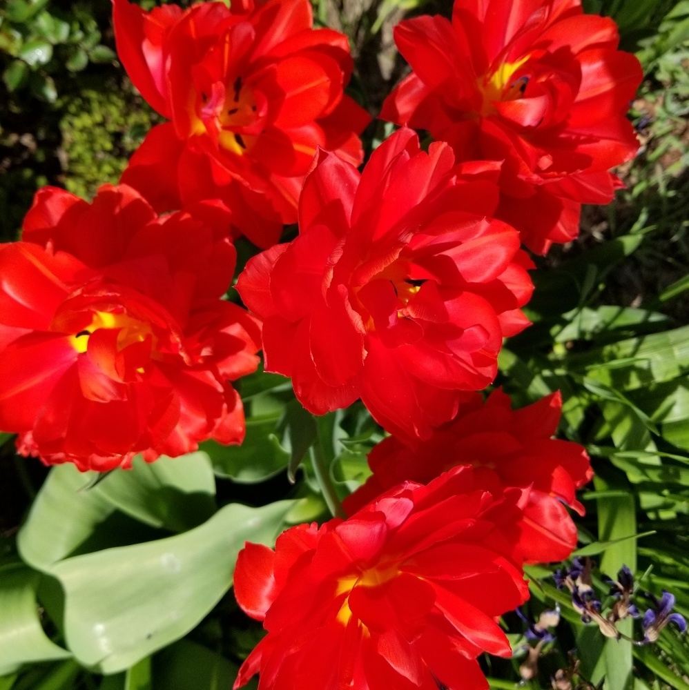 Meet your Posher, Nikki